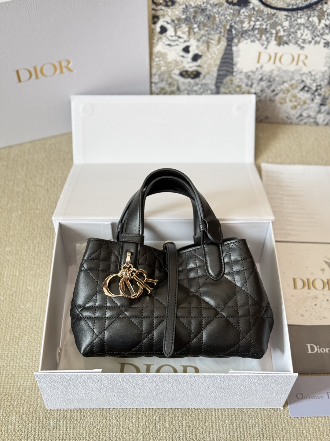 DIOR bag 425